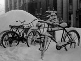 Bicyles at a University Near Sapporo  Hokkaido