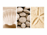 Beach Patterns Triptych