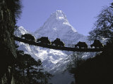 Bridge on Ama Dablam  Nepal