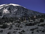 Kilimanjaro's Summit  Kilimanjaro