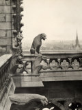 Detail of One of the Two Terraces with Monstrous Figures  Cathedral of Notre-Dame  Paris