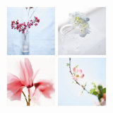 Bugatti Racecar Blossoms Premium Photographic