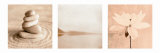 Zen Nature Triptych