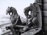 Detail of Two Monstrous Figures Located on a Terrace in the Cathedral of Notre-Dame  Paris