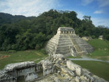 Mayan Ruins and Trees in Palenque  Mexico