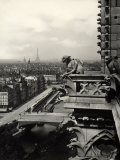 Detail of a Terrace with Monstrous Figures  Cathedral of Notre-Dame  Paris