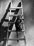 A Monkey on the Step of a Ladder