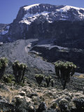 Desert Landscape with Mountain View  Kilimanjaro