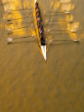 Crew Rowing  Seattle  Washington  USA
