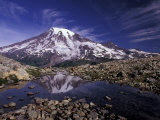 Reflection in Stream of Grinnel Glacier  Mt Rainier National Park  Washington  USA