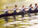 Crew Rowing  Seattle  Washington  USA