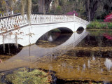 Long White Bridge over Pond  Magnolia Plantation and Gardens  Charleston  South Carolina  USA