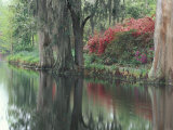 Charleston  South Carolina  USA