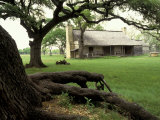 Johnson Homestead  LBJ National Historic Park  Johnson City  Texas  USA