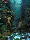 North Fork of Santiam River  Central Oregon Cascades  USA