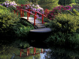 Moon Bridge and Pond in a Japanese Garden  Seattle  Washington  USA