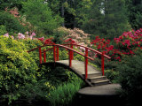 Red Bridge in Springtime  Koybota Gardens  Seattle  Washington  USA