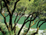 Rogue River  BLM Medford District  Siskiyou Mountains  Oregon  USA
