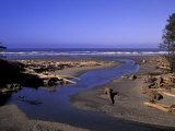 Kalaloch Beach and Creek  Olympic National Park  Washington  USA