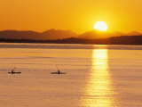 Kayaking at Sunset  San Juan Islands  Washington  USA