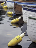 Mooring Buoys at the Center for Wooden Boats  Seattle  Washington  USA