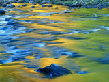Fall Colors Reflect in the West River  Jamaica State Park  Vermont  USA