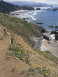 Cannon Beach  Lewis and Clark Trail  Ecola State Park  Oregon  USA