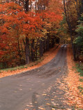 Country Road in Autumn  Vermont  USA