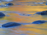 Fall Colors Reflect in the West River  Jamaica State Park  Vermont  USA