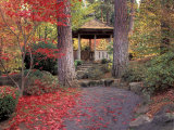 Japanese Gazebo with Fall Colors  Spokane  Washington  USA