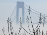 Verrazano-Narrows Bridge in Morning Fog  Staten Island  New York  USA