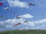 Kites Flying Along the Coastline  International Kite Festival  Long Beach  Washington  USA