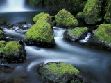 Water Below Wahclella Falls  Columbia River Gorge National Scenic Area  Oregon  USA