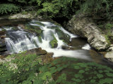 Cascade on Little River  Great Smoky Mountains National Park  Tennessee  USA