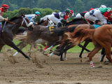 Race Horses in Action  Saratoga Springs  New York  USA