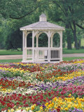 Patchwork of Pansies and Gazebo  Columbus  Ohio  USA