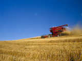 Combines Harvesting Crop  Palouse  Washington  USA