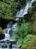 Japanese Garden  Portland  Oregon  USA