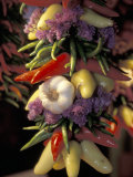Dried Jalepeno Peppers and Garlic at Pike Place Market  Seattle  Washington  USA