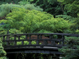 Footbridge in Japanese Garden  Portland  Oregon  USA