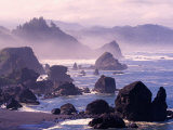 Morning Mist along Oregon Coast near Nesika  Oregon  USA