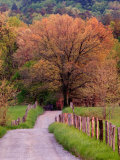 Sparks Lane  Cades Cove  Great Smoky Mountains National Park  Tennessee  USA