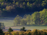Aerial View of Forest in Cades Cove  Great Smoky Mountains National Park  Tennessee  USA