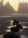 Tidepools and Seastacks  Shi Shi Beach  Olympic National Park  Washington  USA