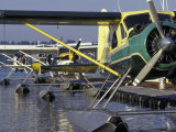 Seaplanes Docked on Lake Washington  Seattle  Washington  USA