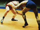 Wrestling Maneuver