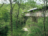 Horton Mill Covered Bridge  Alabama  USA