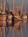 Shrimp Boats Tied to Dock  Darien  Georgia  USA