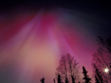 Curtains of Colorful Northern Lights Above Fairbanks  Alaska  USA