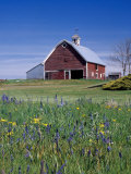 Old Red Barn with Spring Wildflowers  Grangeville  Idaho  USA